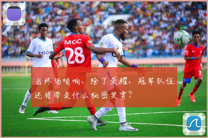 当终场哨响，除了荣耀，冠军队伍还将带走什么秘密奖赏？