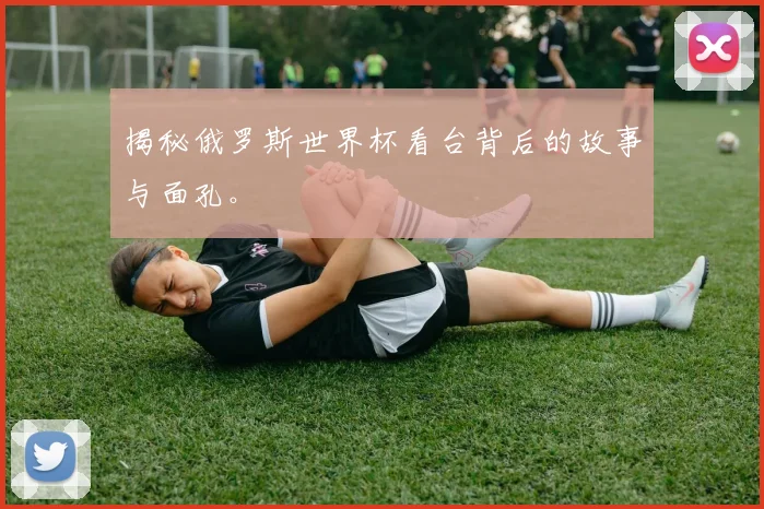 揭秘俄罗斯世界杯看台背后的故事与面孔。