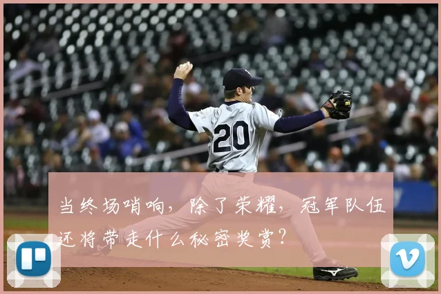 当终场哨响,除了荣耀,冠军队伍还将带走什么秘密奖赏?