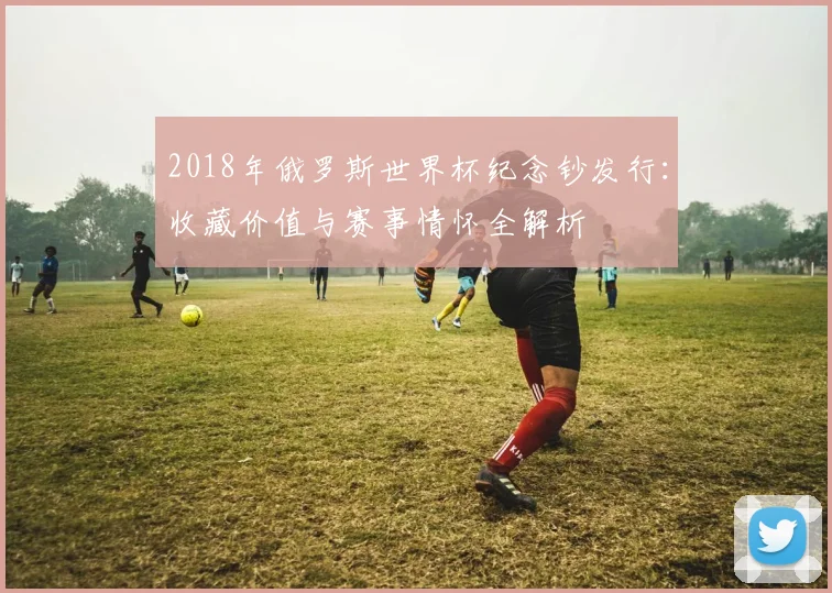 2018年俄罗斯世界杯纪念钞发行：收藏价值与赛事情怀全解析