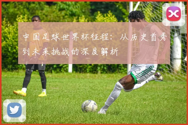 中国足球世界杯征程：从历史首秀到未来挑战的深度解析